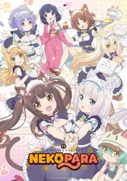 Кошачий рай / Nekopara (2020) сериал мультфильм аниме скачать через торрент в хорошем качестве