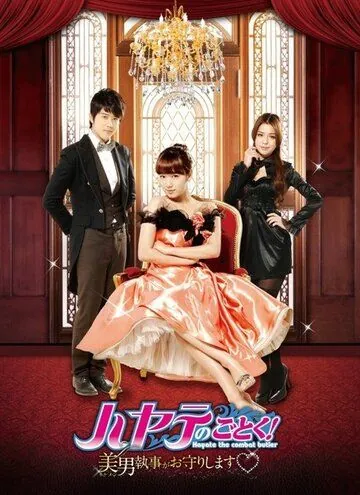 Хаятэ, боевой дворецкий / Xuan feng guan jia (2011) сериал скачать через торрент в хорошем качестве