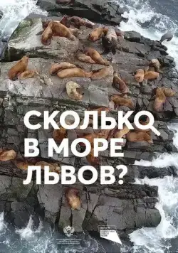 Сколько в море львов? (2018) фильм скачать через торрент в хорошем качестве