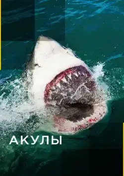 Акулы / Sharks (2017) сериал скачать через торрент в хорошем качестве