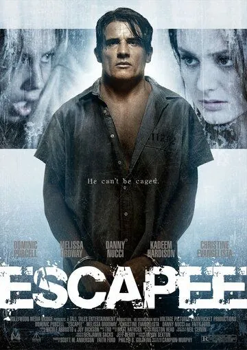 Беглец / Escapee (2011) фильм скачать через торрент в хорошем качестве