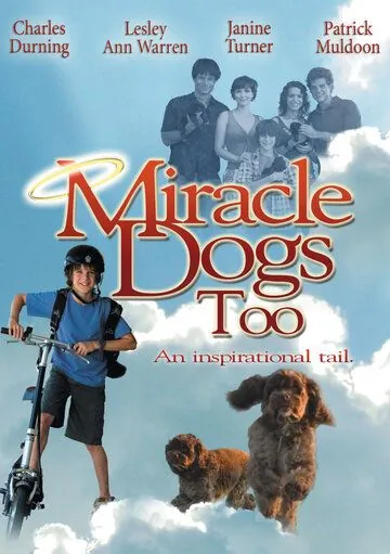 Зак и чудо-собаки / Miracle Dogs Too (2006) фильм скачать через торрент в хорошем качестве