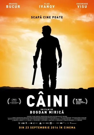 Собаки / Câini (2016) фильм скачать через торрент в хорошем качестве