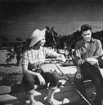 Следуй за мечтой (1962) через торрент бесплатно Следуй за мечтой (1962) фильм через торрент бесплатно