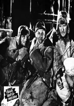 Собаки, хотите жить вечно? (1959) через торрент скачать Собаки, хотите жить вечно? (1959) фильм через торрент скачать