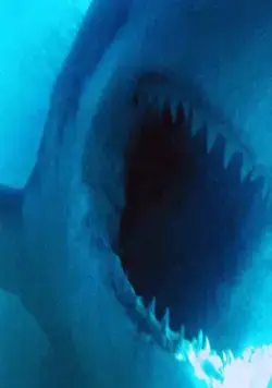 Акулы (1999) через торрент бесплатно Акулы (1999) фильм через торрент бесплатно