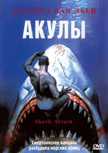 Акулы / Shark Attack (1999) фильм скачать через торрент в хорошем качестве