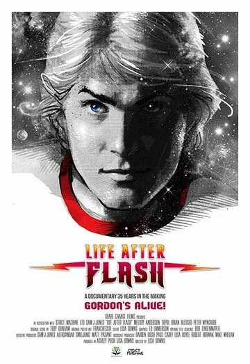 Жизнь после Флэша / Life After Flash (2017) фильм скачать через торрент в хорошем качестве
