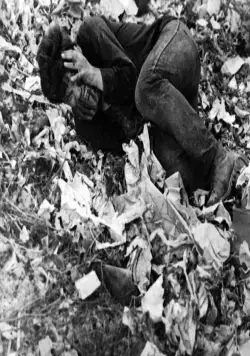 Пепел и алмаз (1958) в хорошем качестве через торрент Пепел и алмаз (1958) фильм в хорошем качестве через торрент