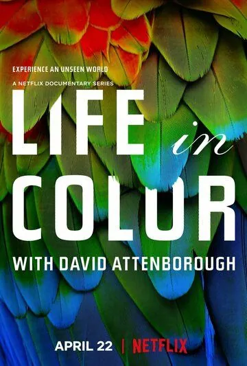 Жизнь в цвете с Дэвидом Аттенборо / Life in Colour (2021) сериал скачать через торрент в хорошем качестве