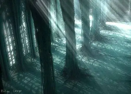 Кафедральный собор (2002) через торрент бесплатно Кафедральный собор (2002) мультфильм через торрент бесплатно