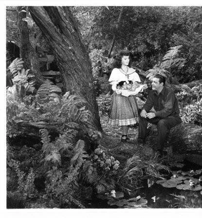 Дом Франкенштейна (1944) через торрент скачать Дом Франкенштейна (1944) фильм через торрент скачать