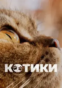 Котики / Cat Daddies (2022) фильм скачать через торрент в хорошем качестве