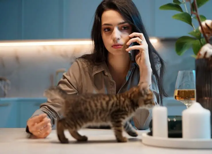 Курьеры (2024) в хорошем качестве через торрент Курьеры (2024) сериал в хорошем качестве через торрент