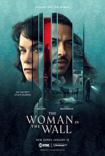 Женщина в стене / The Woman in the Wall (2023) сериал скачать через торрент в хорошем качестве