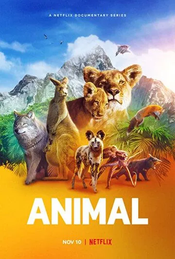 Удивительные животные / Animal (2021) сериал скачать через торрент в хорошем качестве