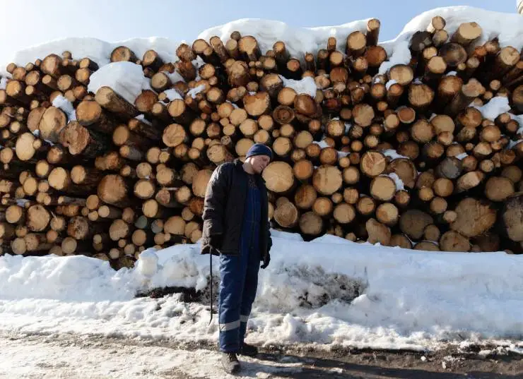 Замерзшие (2022) через торрент скачать Замерзшие (2022) сериал через торрент скачать