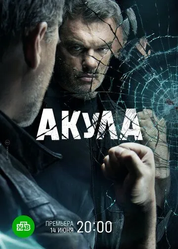 Акула (2021) сериал скачать через торрент в хорошем качестве