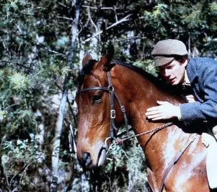 Мельбурнский кубок (1985) через торрент бесплатно Мельбурнский кубок (1985) фильм через торрент бесплатно