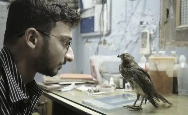 Всё, что дышит (2022) через торрент скачать Всё, что дышит (2022) фильм через торрент скачать