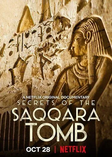 Тайны саккарских гробниц / Secrets of the Saqqara Tomb (2020) фильм скачать через торрент в хорошем качестве