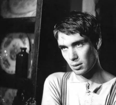 Как Гарри превратился в дерево (2001) через торрент скачать Как Гарри превратился в дерево (2001) фильм через торрент скачать