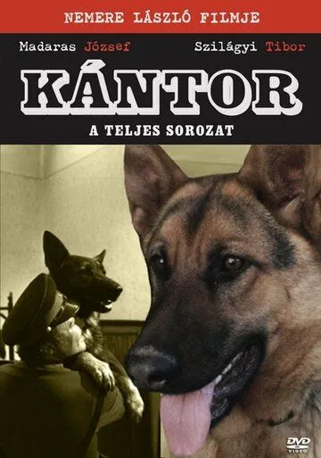 Кантор - собака-детектив / Kántor (1976) сериал скачать через торрент в хорошем качестве