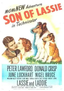 Сын Лесси / Son of Lassie (1945) фильм скачать через торрент в хорошем качестве