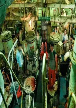 Корабль в Пусан (2022) в хорошем качестве через торрент Корабль в Пусан (2022) фильм в хорошем качестве через торрент