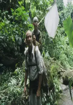 Голубая бабочка (2004) через торрент скачать Голубая бабочка (2004) фильм через торрент скачать