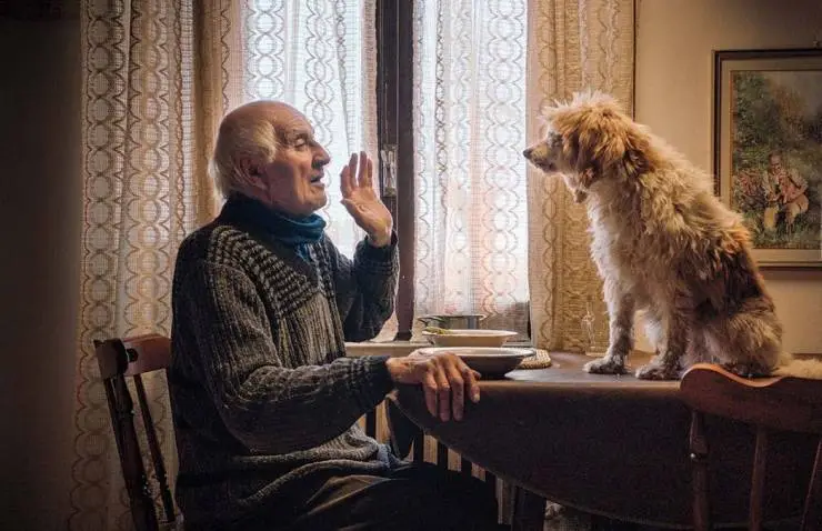 Охотники за трюфелями (2020) через торрент скачать Охотники за трюфелями (2020) фильм через торрент скачать