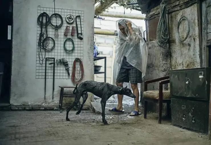 Чёрный пёс (2024) в хорошем качестве через торрент Чёрный пёс (2024) фильм в хорошем качестве через торрент