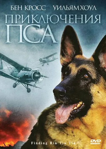 Приключения пса / Finding Rin Tin Tin (2007) фильм скачать через торрент в хорошем качестве