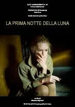 Светлая сторона Луны / La prima notte della luna (2010) сериал скачать через торрент в хорошем качестве