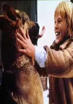 Возвращение Белого Клыка (1974) через торрент скачать Возвращение Белого Клыка (1974) фильм через торрент скачать