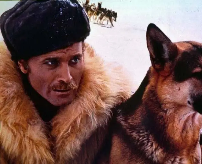 Возвращение Белого Клыка (1974) в хорошем качестве через торрент Возвращение Белого Клыка (1974) фильм в хорошем качестве через торрент