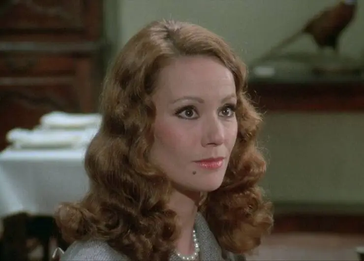 Полицейская история (1975) через торрент скачать Полицейская история (1975) фильм через торрент скачать