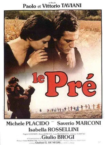 Поляна / Il prato (1979) фильм скачать через торрент в хорошем качестве