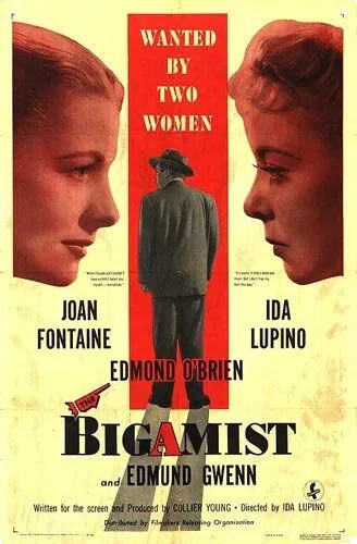 Двоеженец / The Bigamist (1953) фильм скачать через торрент в хорошем качестве
