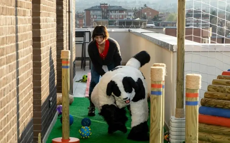 Спотти и я (2022) через торрент скачать Спотти и я (2022) фильм через торрент скачать