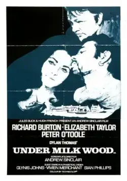 Под сенью млечного леса / Under Milk Wood (1971) фильм скачать через торрент в хорошем качестве