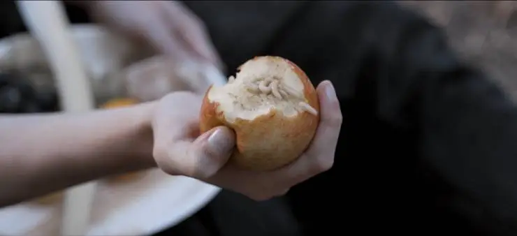 Мелисандра. Темная фея (2024) в хорошем качестве через торрент Мелисандра. Темная фея (2024) фильм в хорошем качестве через торрент