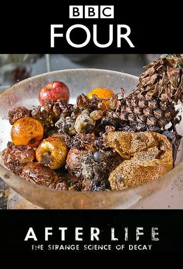 После смерти: Загадочная наука разложения / After Life: The Strange Science of Decay (2011) фильм скачать через торрент в хорошем качестве