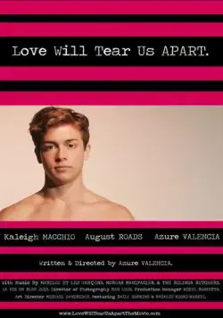 Любовь разорвёт нас на куски / Love Will Tear Us Apart (2013) фильм скачать через торрент в хорошем качестве