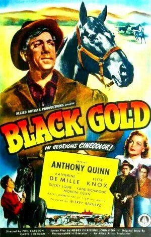 Черное золото / Black Gold (1947) фильм скачать через торрент в хорошем качестве