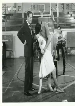 Пока, пташка (1963) через торрент бесплатно Пока, пташка (1963) фильм через торрент бесплатно