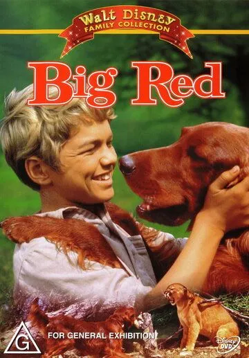 Большой Ред / Big Red (1962) фильм скачать через торрент в хорошем качестве