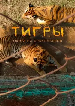 Тигры: Охота на браконьеров / Tigers: Hunting the Traffickers (2020) фильм скачать через торрент в хорошем качестве