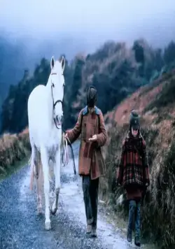 На запад (1992) в хорошем качестве через торрент На запад (1992) фильм в хорошем качестве через торрент