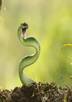 Гонка жизни (2015) в хорошем качестве через торрент Гонка жизни (2015) сериал в хорошем качестве через торрент